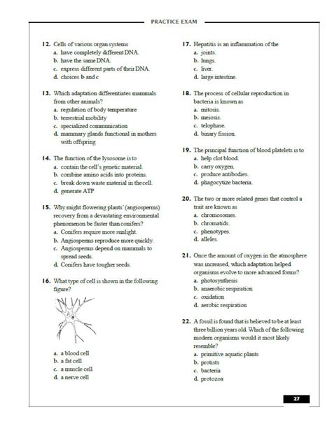 is the practice teas test harder|is the teas exam easy.